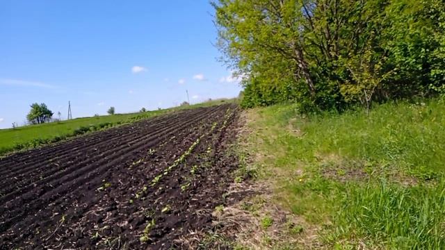 А воз и ныне там