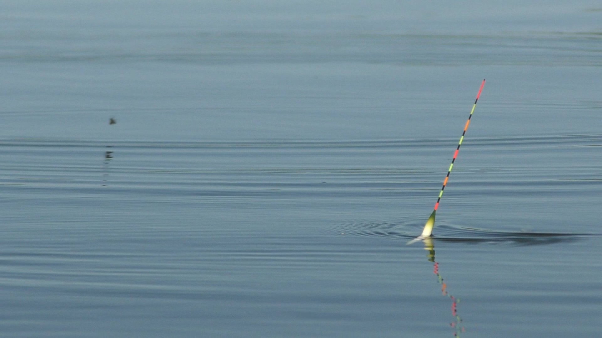 КАРАСЬ НА ХИТРУЮ СНАСТЬ. РЫБАЛКА НА ПОПЛАВОК ХЕРАБУНА