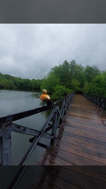 УТРЕННЯЯ ВСТРЕЧА