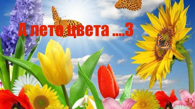 А ЛЕТО ЦВЕТА ...3 ВСТУПЛЕНИЕ