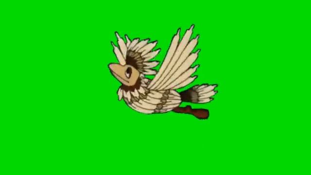 Птица Говорун летит футаж