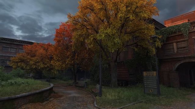 The-Last-of-Us-Успокаивающая-Расслабляющая-Эмбиент-Музыка-Fallen-Grounds