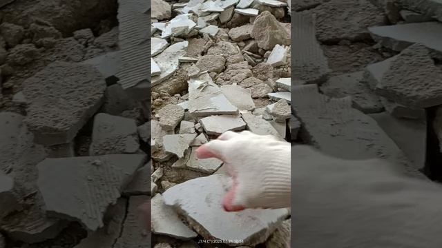 Квартира с ремонтом полный демонтаж