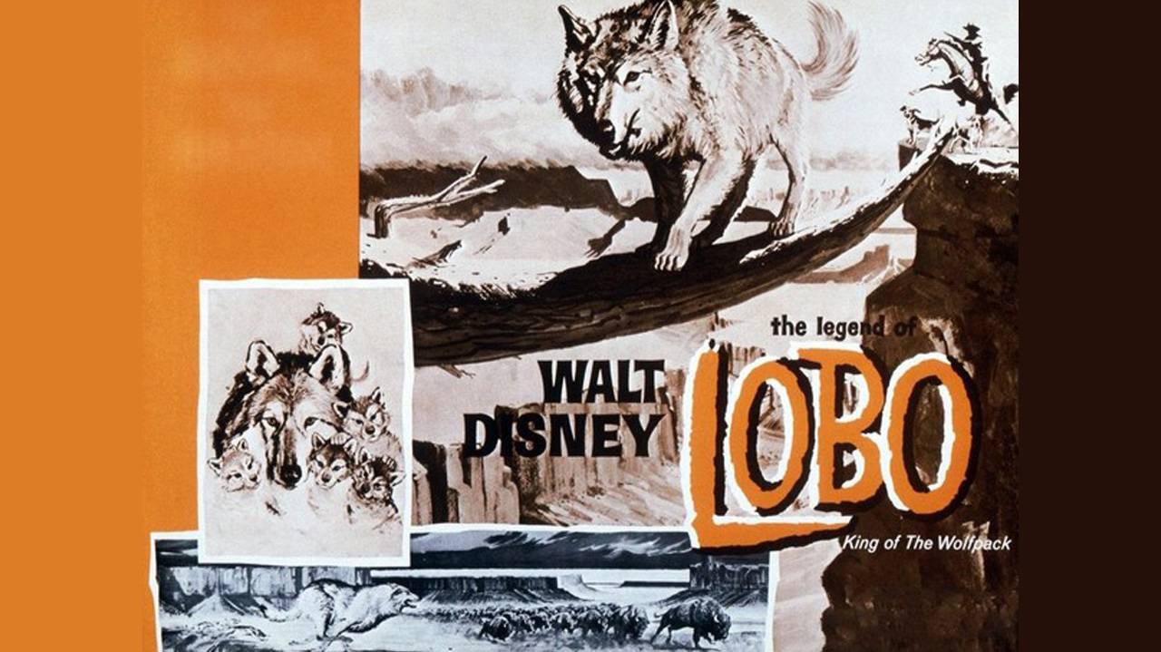 Легенда о Лобо / The Legend of Lobo   1962