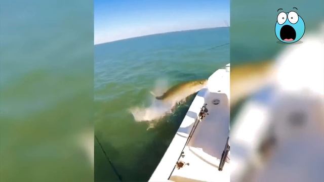 Невероятные случаи снятые на камеру.