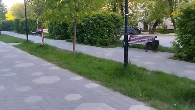 Петровский парк в г. Лосино Петровском. Часть 2