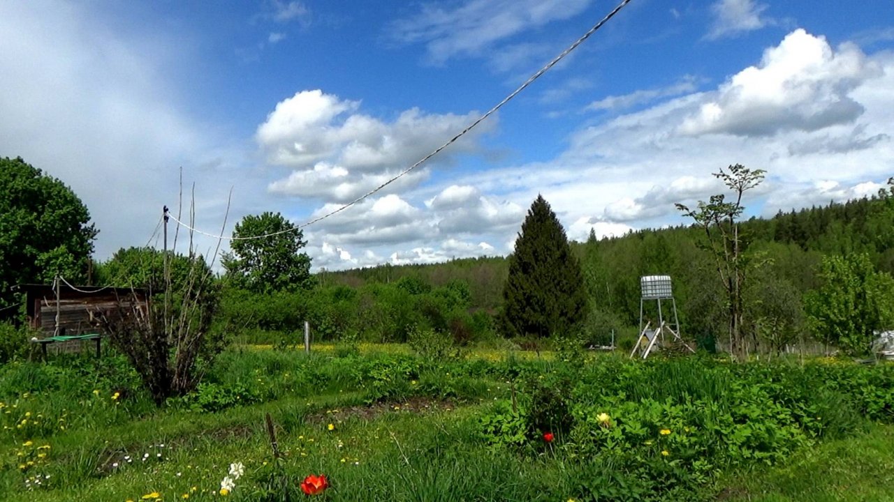 МАЙ, птички поют, КРАСОТА