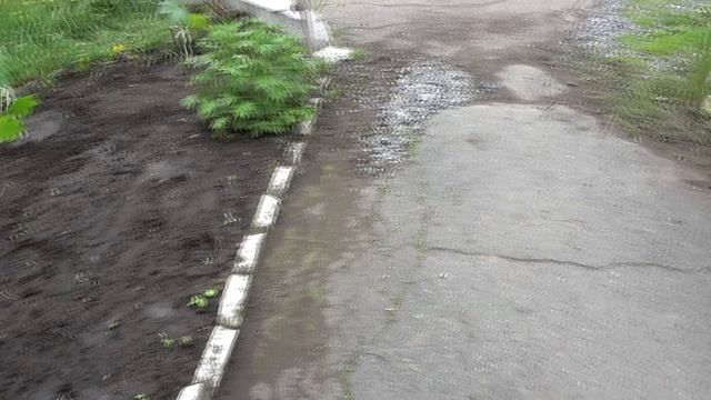 Высаживаем Рассаду