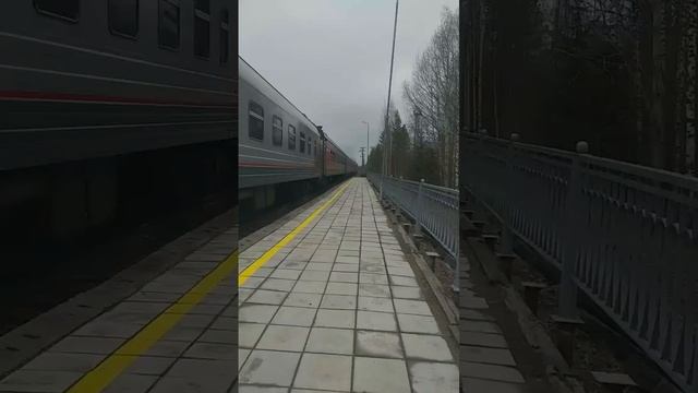 Отправка поезда Костомукша Петрозаводск, Костомукша Санкт-Петербург 22.05.2025