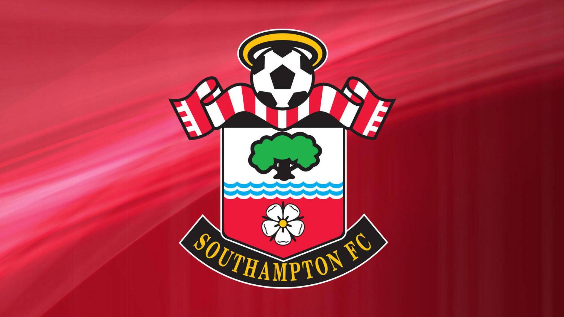 15-й тур   Саутгемптон-Вулверхэмптон