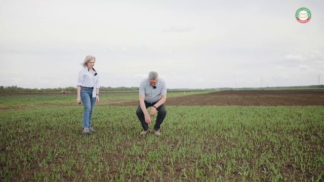 Агрополигоны Поволжья: что ждет на площадке в Угорье?