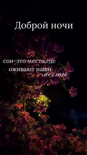 #добройночи