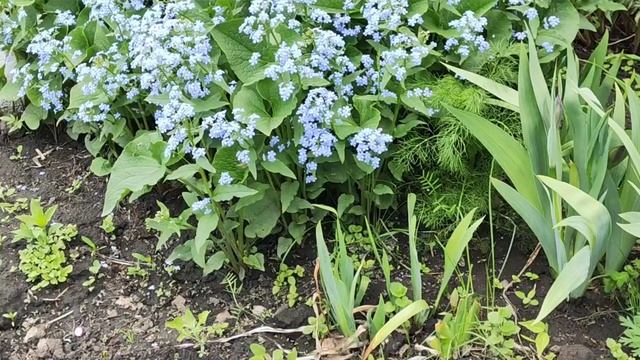 Домашние хлопоты...