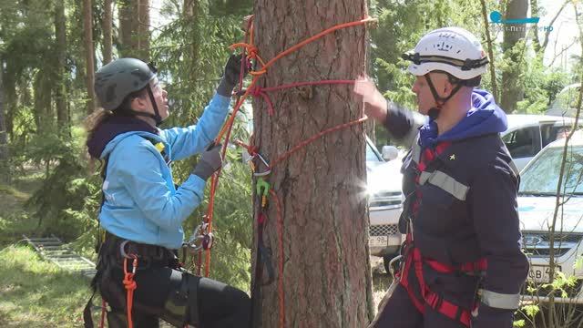 На помощь братьям нашим меньшим — уроки спасения животных
