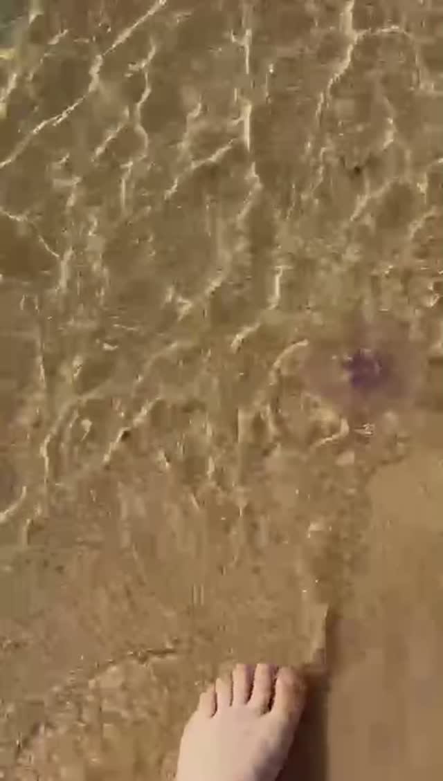 Красное море кишит жителями. 🪼 🐠 🐟 💦