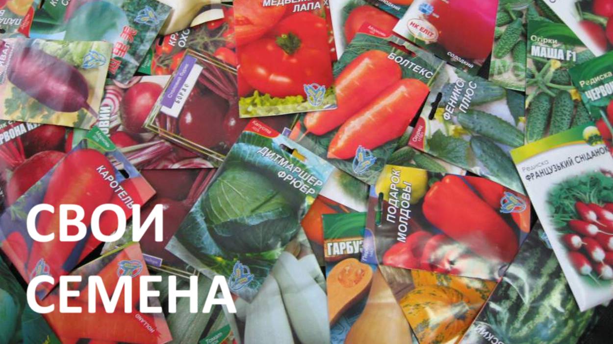 Свои семена сэкономят вам деньги и время!