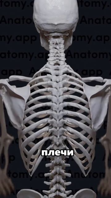 НАТАЛЬЯ ЗИМА. ПСИХОЛОГ ДЛЯ ЭКСПЕРТОВ И ПРЕДПРИНИМАТЕЛЕЙ.