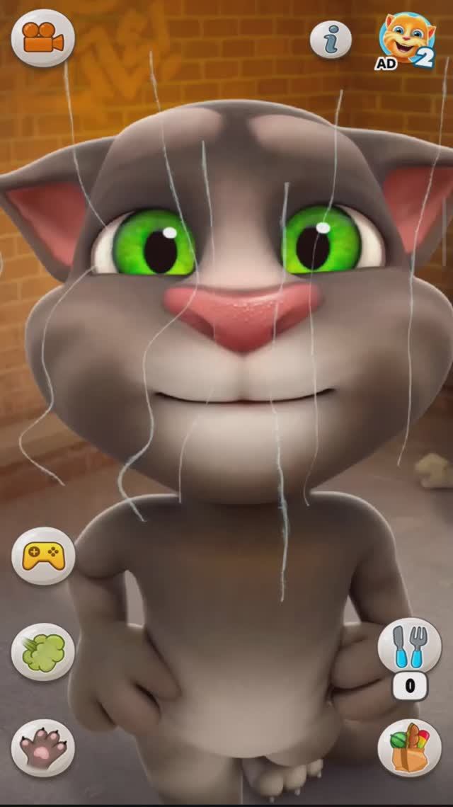 Говорящий ТОМ пукает