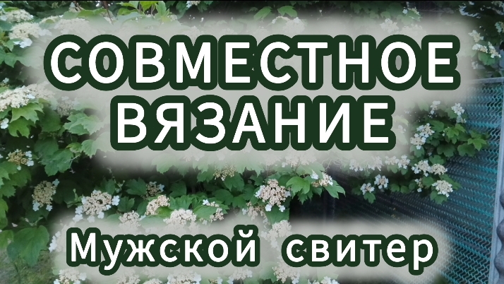 СОВМЕСТНОЕ ВЯЗАНИЕ Мужского свитера 2 часть