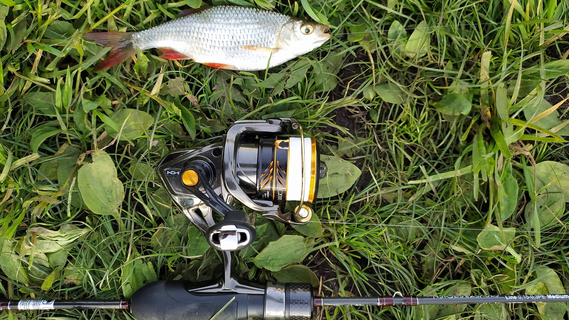 МОРМЫШИНГ. Черневские пруды, вечером 16 мая 2025 года