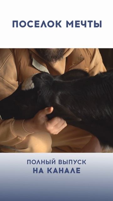 Жизненный баланс