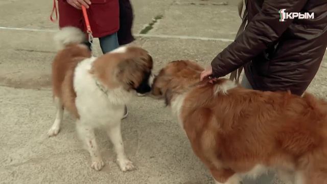 Клуб Шико. Выпуск от 24.05.25