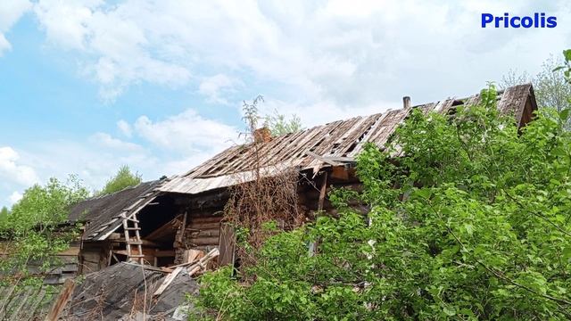 Старая улица деревни Маловская 2025 год