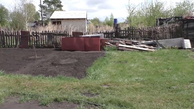 Повреждения яблонь после зимы