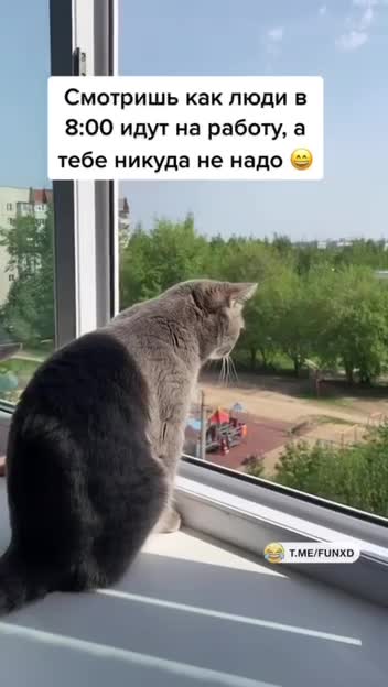 Доброе утро!😅