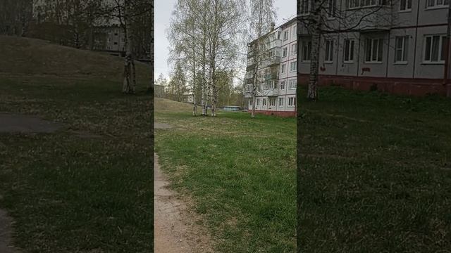 24 мая 2025 Новодвинск Архангельская область Моя школа, мой двор и соседский кот Барон