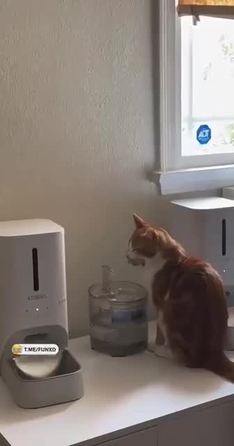 Когда встал, но еще не проснулся😅