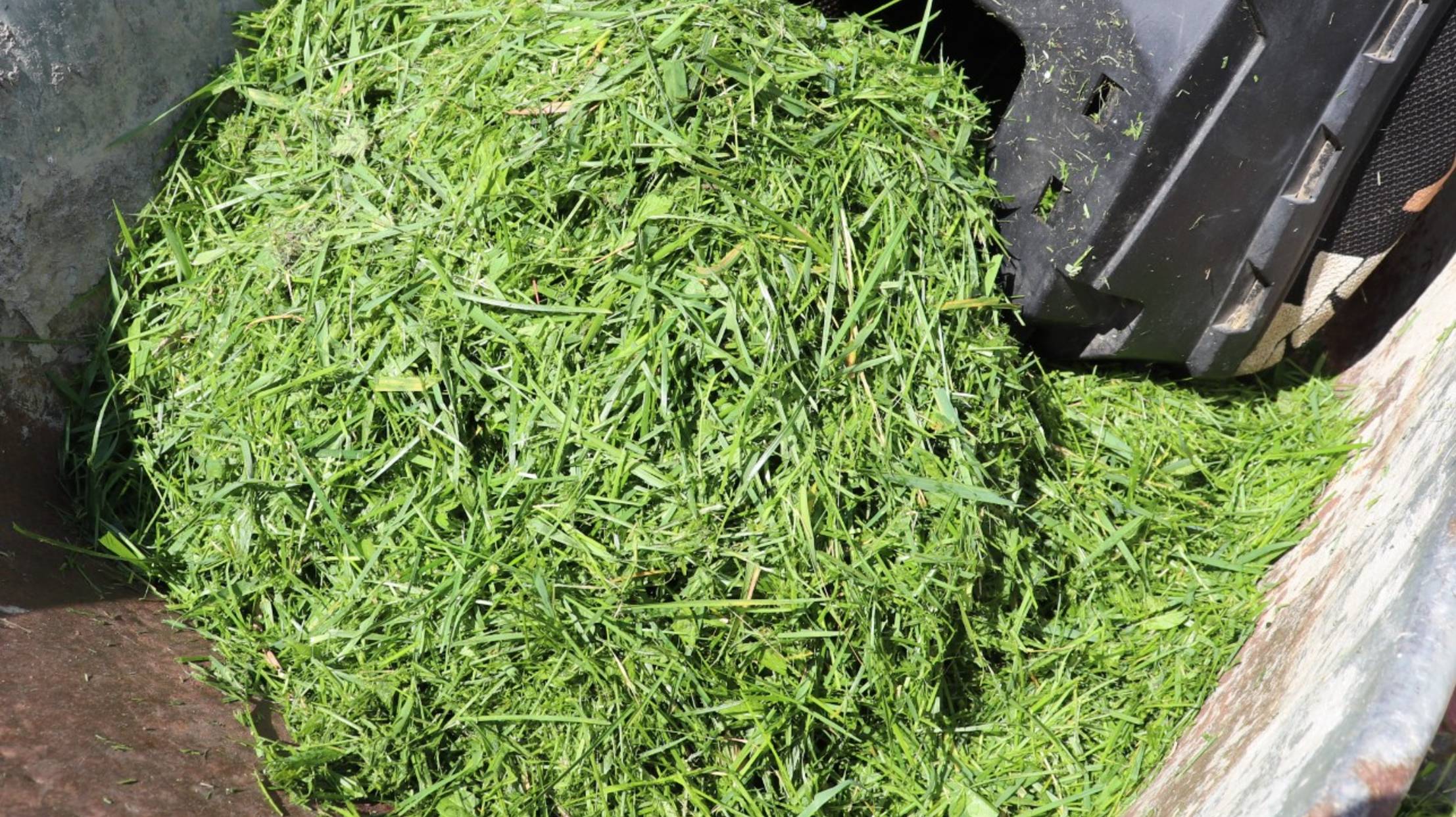 Самый лучший и простой уход за грядками.