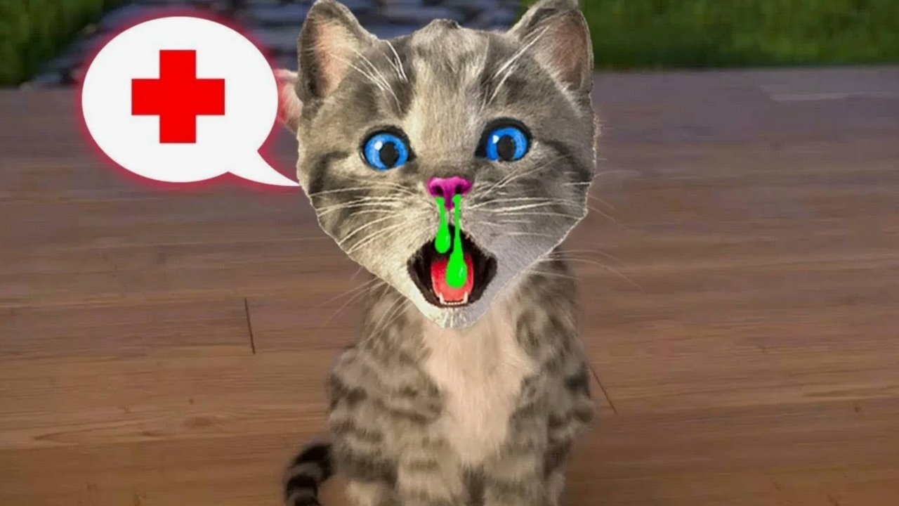 НОВЫЕ ПРИКЛЮЧЕНИЯ ПУШИСТОГО КОТЁНКА