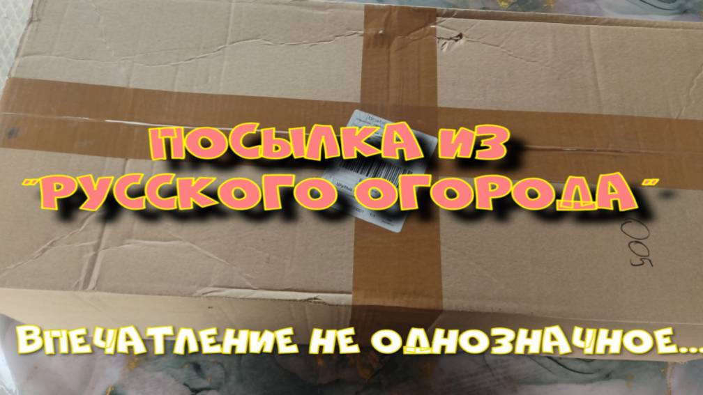 ПОСЫЛКА C САЖЕНЦАМИ ОТ РУССКОГО ОГОРОДА.