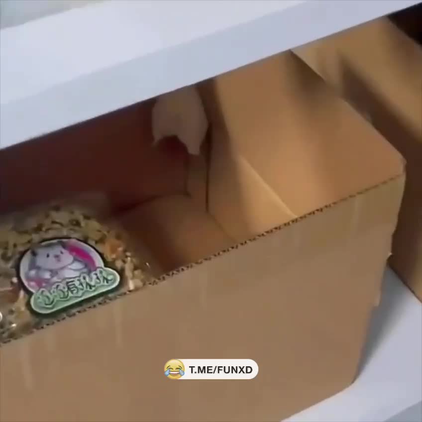 Толстая жёпка не дала воришке скрыться с места преступления😁