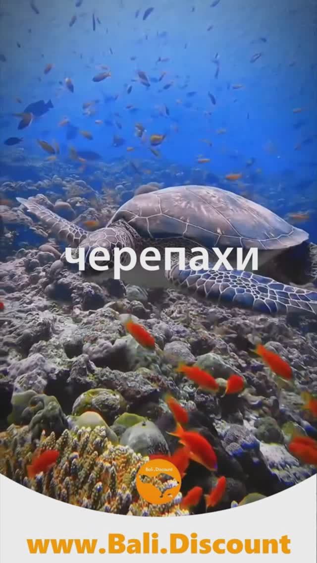 Хватит скучать! Пора лететь на Бали!