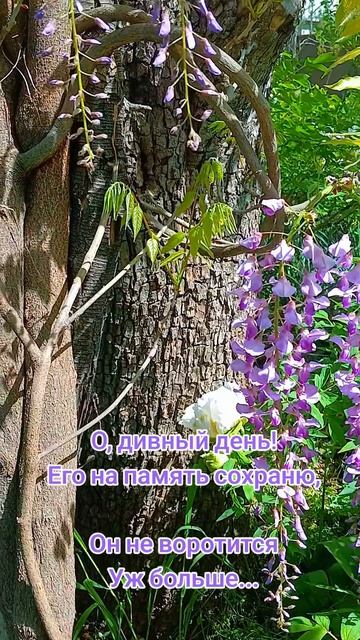 Мне нравится тот день, он майский был..