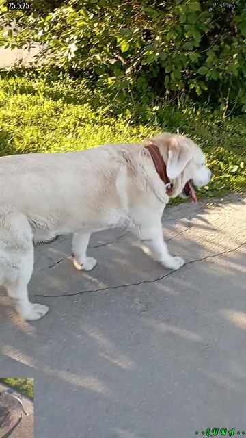 По дороге с облаками