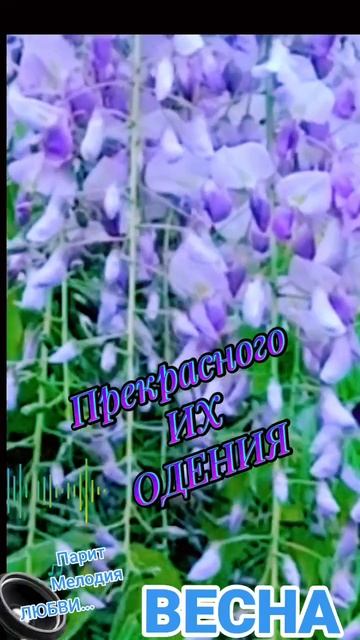 Восхитительная, способна очаровать! Воздушные кисти, льющие цвет, мечта души, её расцвет!
