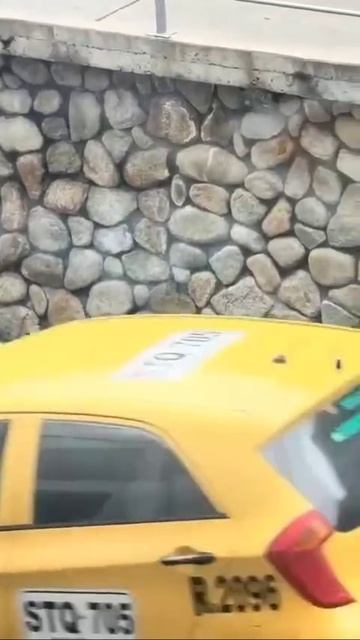 Нарядная хрюшка из Колумбии просто прогуливается с цветочками на голове