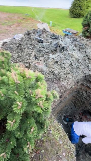 Финский залив