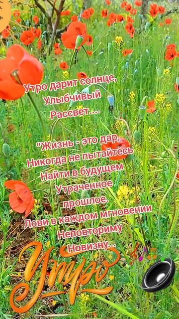 Дивный день, с утра родился, вместе с солнышком лучистым...