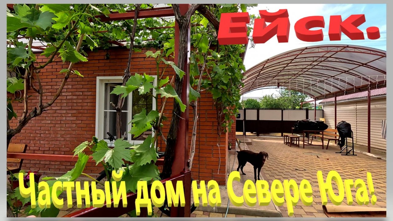 Частный дом на севере юга. Ейск. Экзотика в саду.