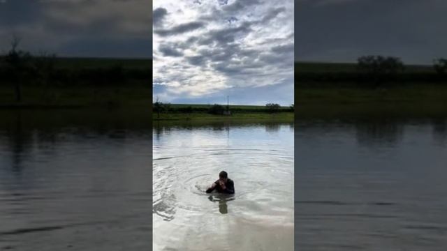 Разновидность пираньи-Паку