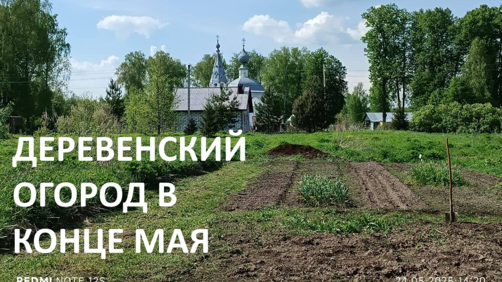 20  соток в конце мая//сажаем картошку//поливаем теплицы//наши яблони//доделываю цветник.