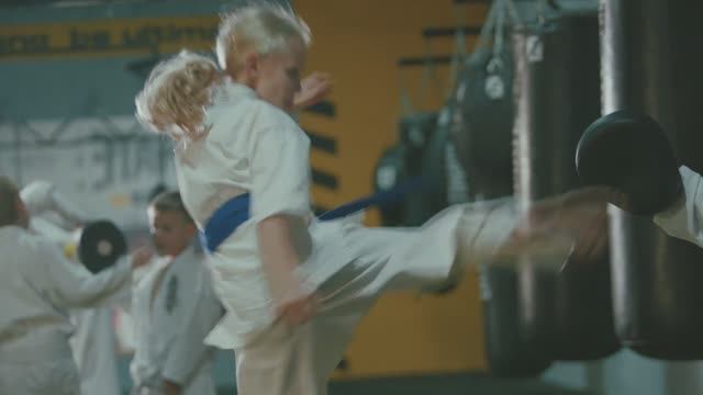 Путь воина киокусинкай каратэ.