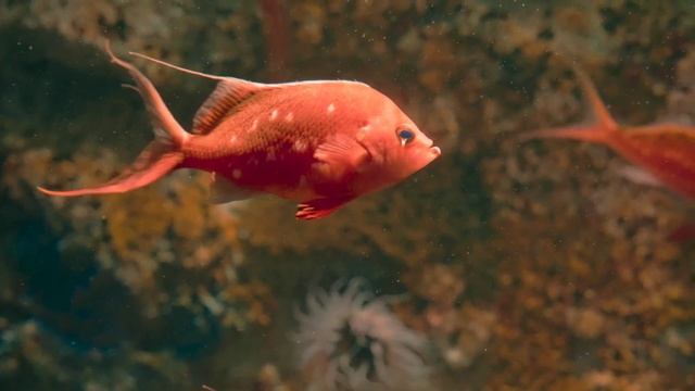 Водный мир.