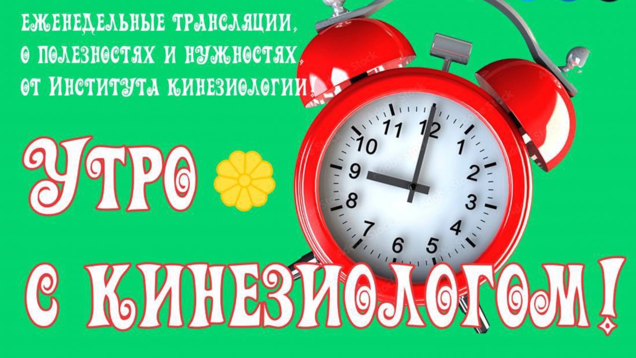 УТРО С КИНЕЗИОЛОГОМ!