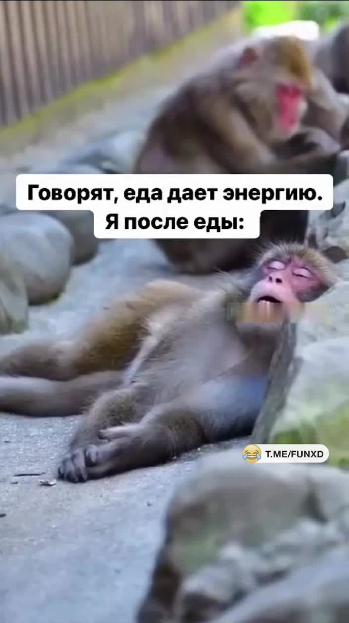 Очень жизненно😆