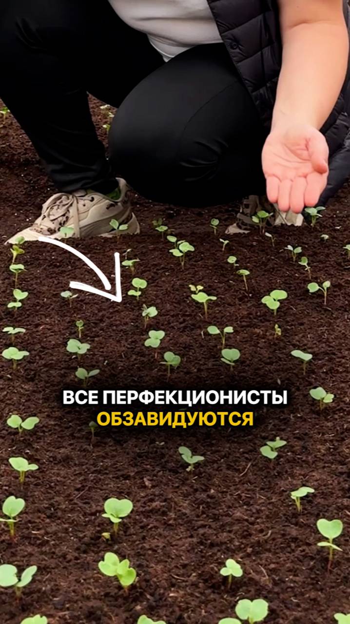 Все ОБЗАВИДУЮТСЯ такому посеву редиса!